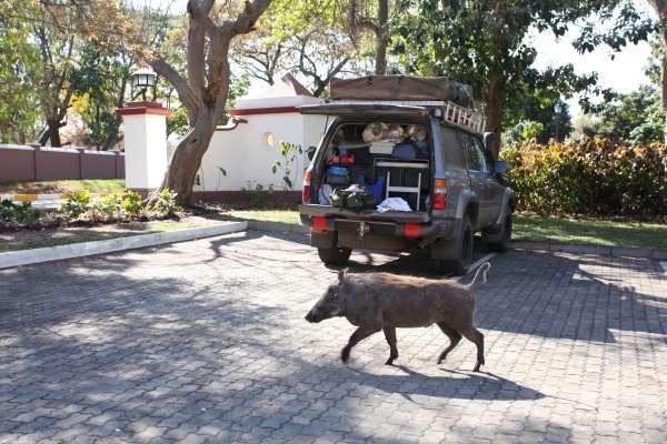 MovingHouse photo 2