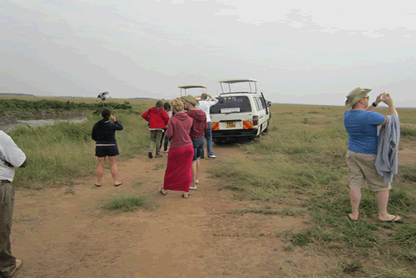 Kairi Tours & Safaris Ltd photo 1