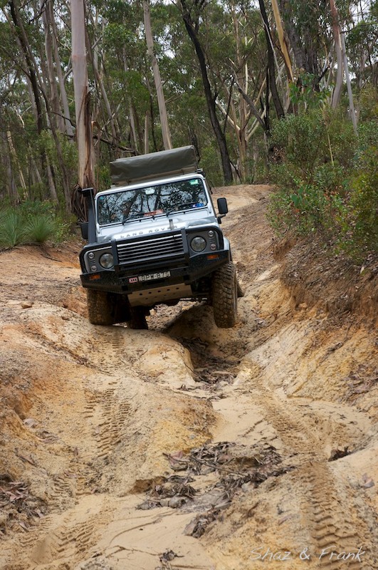 Tracks in Africa photo 3