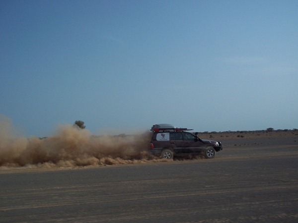 Willy Gauss photo 1