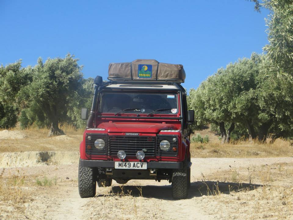 Ruby the Landy photo 2