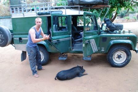 DOG Initiative (Davy Olli Giles) photo 3